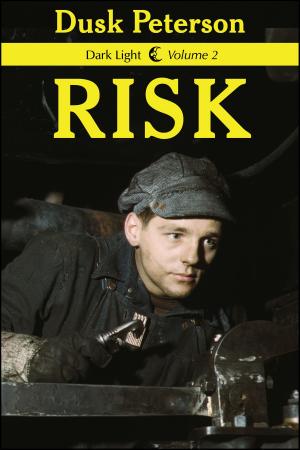 Cover of the book Risk (Dark Light, Volume 2) by Dusk Peterson