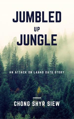 Cover of the book Jumbled up Jungle by Daniel Sutter