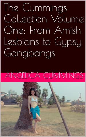 Cover of the book The Cummings Collection Volume One: From Amish Lesbians to Gypsy Gangbangs by Ken Haramiru