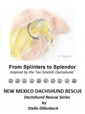 Cover of the book From Splinters to Splendor by New Mexico Dachshund Rescue