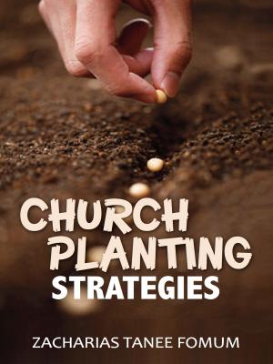Book cover of Church Planting Strategies