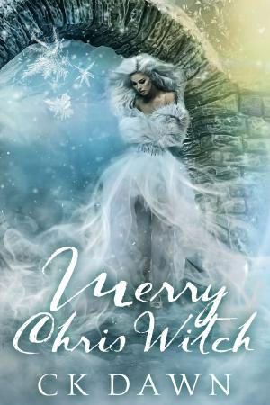 Book cover of Merry Chris Witch