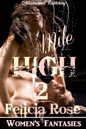 Cover of the book Mile High 2 by Little Dickins