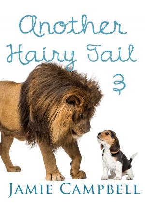 Book cover of Another Hairy Tail 3