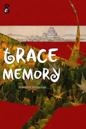 Cover of the book Trace Memory by Matthew James
