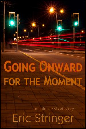 Cover of the book Going Onward for the Moment by Amy Stilgenbauer