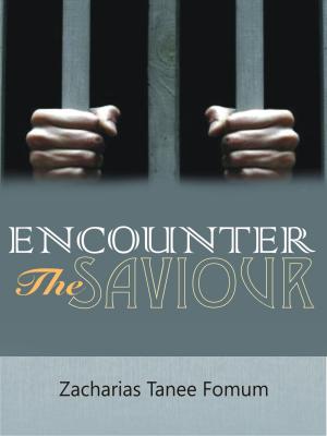 Cover of Encounter The Saviour!