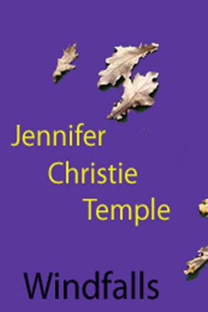 Book cover of Windfalls by Jennifer Christie Temple