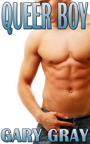 Cover of the book Queer Boy by Luke Kelly