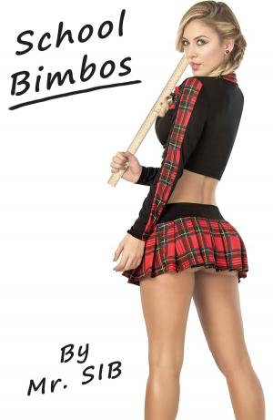 Cover of the book School Bimbos by Dex O'Donald