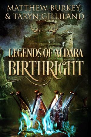 Cover of the book Legends of Aldara: Birthright by Linda K. Hopkins