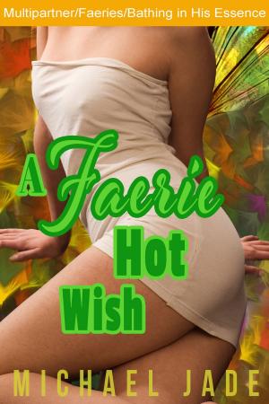 Book cover of A Faerie Hot Wish