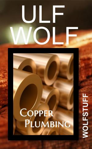 Book cover of Copper Plumbing