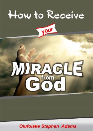 Cover of the book How to Receive Your Miracle from God by Olufolake Stephen Adams