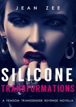 bigCover of the book Silicone Transformations by 