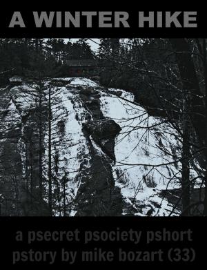 Book cover of A Winter Hike