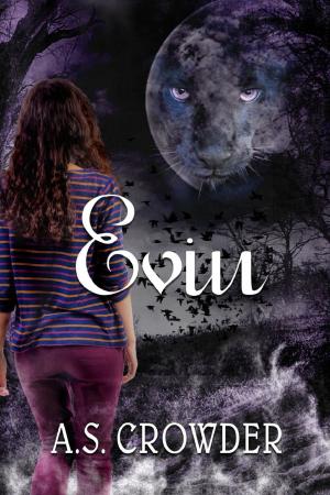 Cover of the book Evin by Chris Liberty