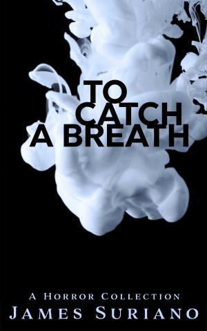 Cover of the book To Catch A Breath by Violette Meier