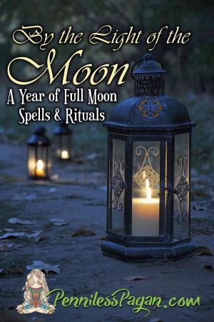 Cover of the book By the Light of the Moon: 13 Simple & Affordable Pagan Spells & Rituals for a Year of Full Moon Celebrations by Ruth Edna Kelley