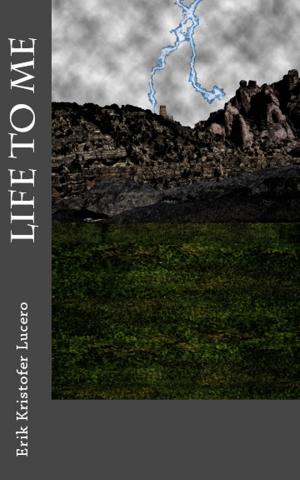 Book cover of Life to Me