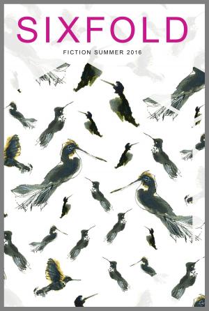 Cover of Sixfold Fiction Summer 2016