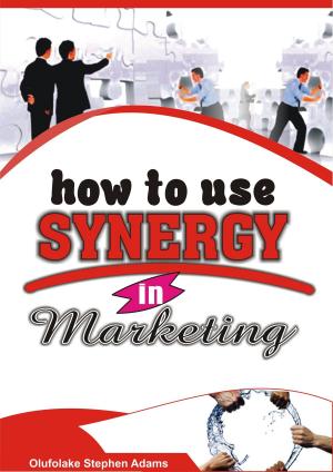 Cover of the book How to Use Synergy In Marketing by Olufolake Stephen Adams