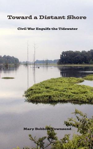 Book cover of Toward a Distant Shore: Civil War Engulfs the Tidewater
