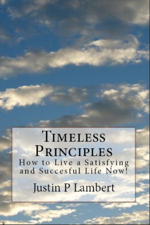 Cover of the book Timeless Principles: How to Live a Satisfying and Successful Life Now! by Sapiens Hub