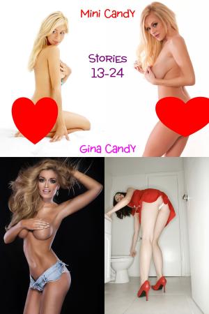 Book cover of Mini Candy: Stories 13-24