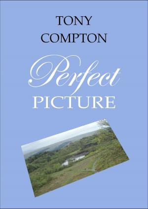 Cover of the book Perfect Picture by Brian Wu, Scott Spotson