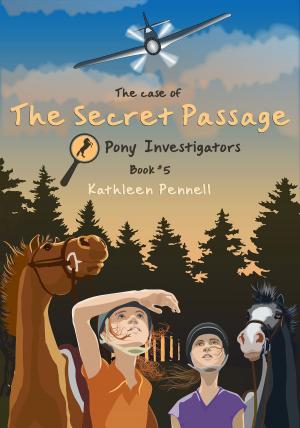 Cover of the book The Case of the Secret Passage by Evelyn Weiss