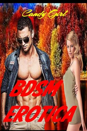 bigCover of the book BDSM Erotica: You're Mine by 