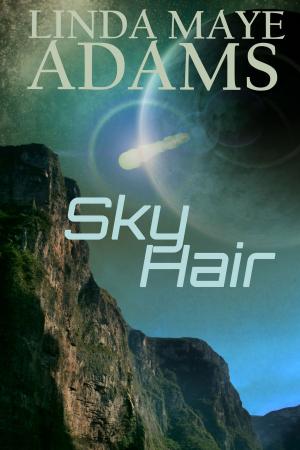 Cover of the book Sky Hair by Linda Maye Adams