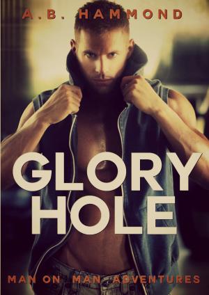bigCover of the book Glory Hole by 