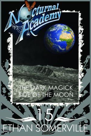 Book cover of Nocturnal Academy 15: the Dark Magick Side of the Moon