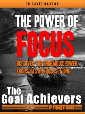 Book cover of The Power of Focus: Discover the Enormous Power Focus has on Goal Setting