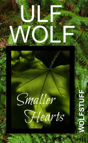 Cover of the book Smaller Hearts by Gabriel Woods