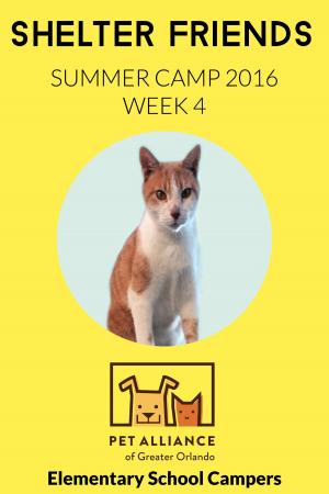 bigCover of the book Shelter Friends Summer Camp 2016: Week 4 by 