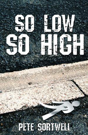 Cover of the book So Low So High by Nikos Kalpakis