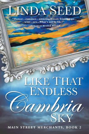 Cover of the book Like That Endless Cambria Sky by Jamaila Brinkley