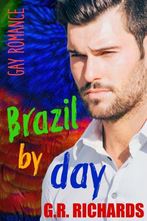 Cover of the book Brazil by Day: Gay Romance by Ales Pickar