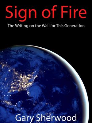 Cover of Sign of Fire: The Writing on the Wall for This Generation