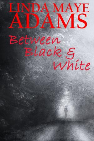 Cover of the book Between Black and White by Linda Maye Adams