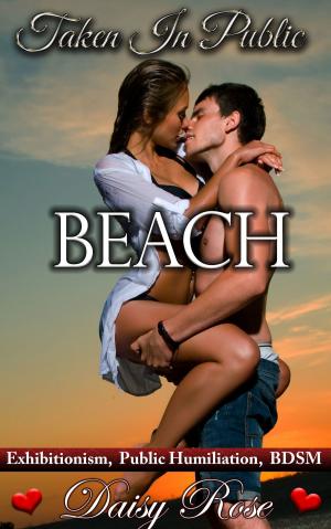 Book cover of Taken In Public 5: Beach