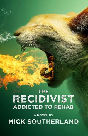 bigCover of the book The Recidivist: Addicted to Rehab by 