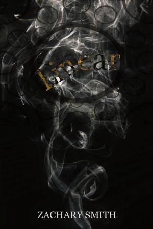 Cover of the book Linear; Part of The Half-Breeds series by Vincent Morrone