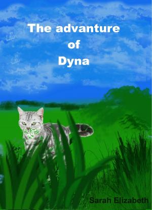 Cover of the book The Adventure of Dyna by Randy Stonehouse