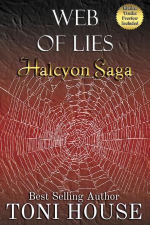 bigCover of the book Web of Lies by 