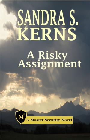 Book cover of A Risky Assignment