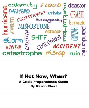 Cover of the book If Not Now, When? A Crisis Preparedness Guide by Sharon Tyler Herbst